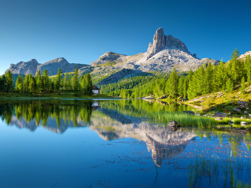 Grauer Star - Sichtverbesserung nach Operation